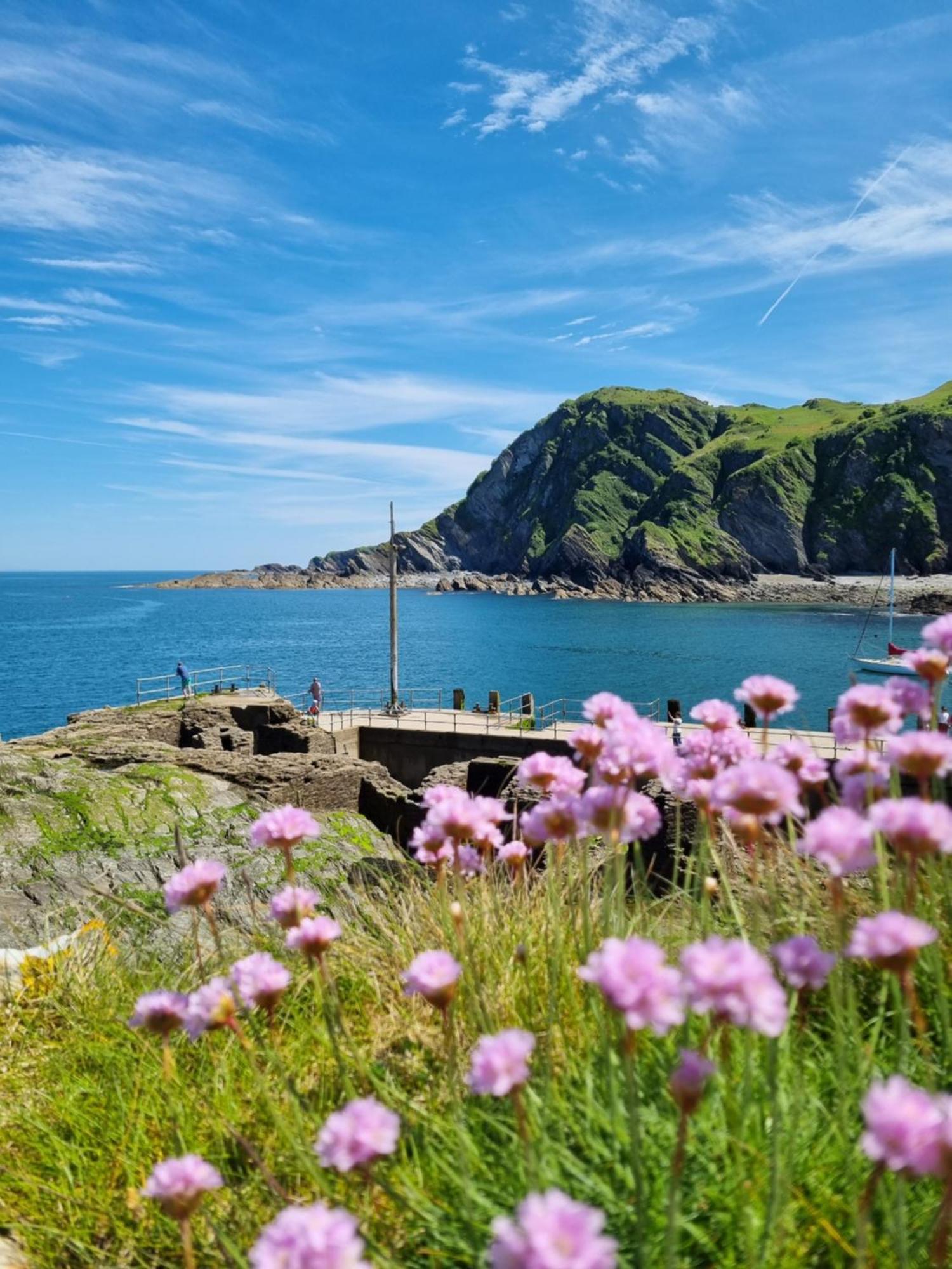 Sandpiper Cottage: Cosy Home Near The Beach Woolacombe Esterno foto